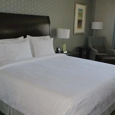 Hilton Garden Toronto Airport West/mississauga Hotel